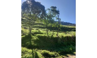 FINCA PRODUCTIVA EN VENTA TENERIFE EL CERRITO VALLE  254 Hectáreas