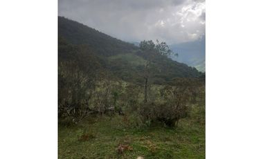 FINCA PRODUCTIVA EN VENTA TENERIFE EL CERRITO VALLE  254 Hectáreas