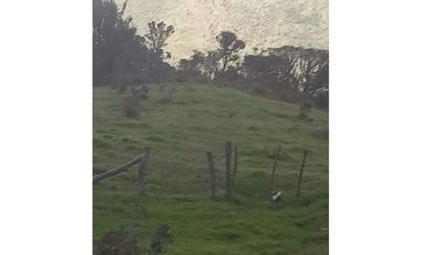 FINCA PRODUCTIVA EN VENTA TENERIFE EL CERRITO VALLE  254 Hectáreas