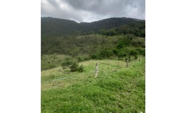 FINCA PRODUCTIVA EN VENTA TENERIFE EL CERRITO VALLE  254 Hectáreas