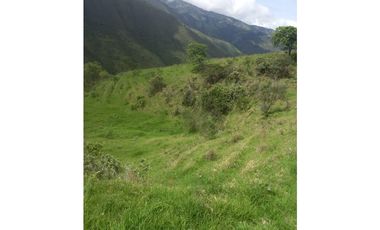 FINCA PRODUCTIVA EN VENTA TENERIFE EL CERRITO VALLE  254 Hectáreas