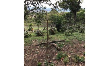 FINCA EN VENTA EN EL CASTILLO SANTA ELENA EL CERRITO