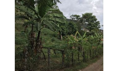 FINCA EN VENTA EN EL CASTILLO SANTA ELENA EL CERRITO