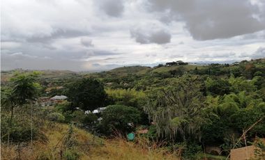 LOTE CAMPESTRE EN VENTA EN LA BUITRERA PALMIRA ..