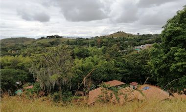 LOTE CAMPESTRE EN VENTA EN LA BUITRERA PALMIRA ..