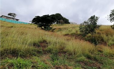 LOTE CAMPESTRE EN VENTA EN LA BUITRERA PALMIRA ..