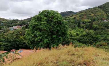 LOTE CAMPESTRE EN VENTA EN LA BUITRERA PALMIRA ..