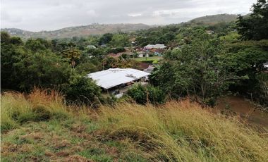 LOTE CAMPESTRE EN VENTA EN LA BUITRERA PALMIRA ..