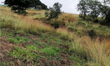 LOTE CAMPESTRE EN VENTA EN LA BUITRERA PALMIRA ..