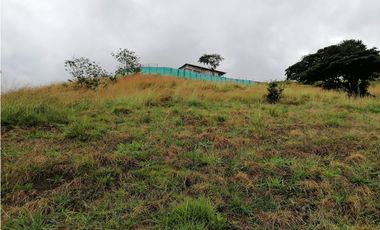 LOTE CAMPESTRE EN VENTA EN LA BUITRERA PALMIRA ..