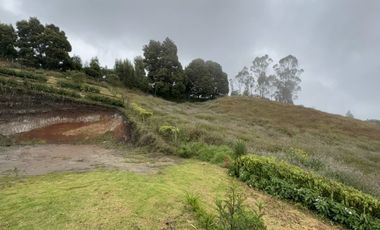 SE VENDE FINCA EN ZIPACÓN, VEREDA CHUSCAL, CON DOS CASAS
