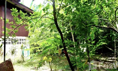 1 Bedroom House for sale in Sala, Lampang