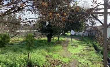 INVERSIONISTA TERRENO DE 15000 M2 AV PRINCIPAL TALAGANTE
