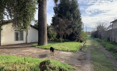 INVERSIONISTA TERRENO DE 15000 M2 AV PRINCIPAL TALAGANTE