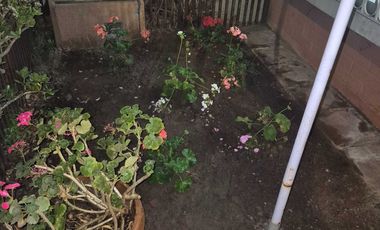 Casa en arriendo  en SAN BERNARDO