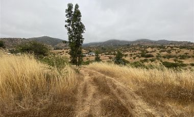 Parcela en Venta en Ruta G-60 / Camino Viejo (La Campiña)