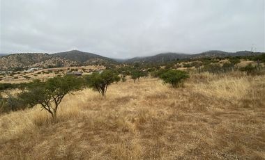 Parcela en Venta en Ruta G-60 / Camino Viejo (La Campiña)