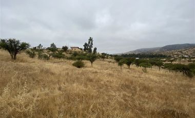 Parcela en Venta en Ruta G-60 / Camino Viejo (La Campiña)