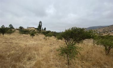 Parcela en Venta en Ruta G-60 / Camino Viejo (La Campiña)