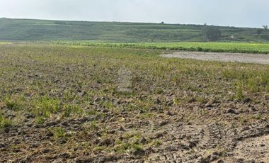 Terreno para uso agricola, habitacional o industrial