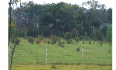 Venta de Rancho en Villa Guerrero, con casa habitación.