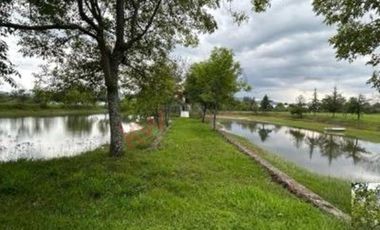 Venta de Rancho en Villa Guerrero, con casa habitación.