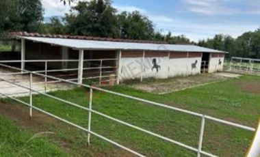 Venta de Rancho en Villa Guerrero, con casa habitación.