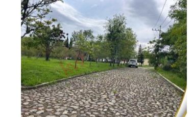 Venta de Rancho en Villa Guerrero, con casa habitación.