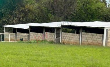 Venta de Rancho en Villa Guerrero, con casa habitación.