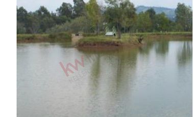 Venta de Rancho en Villa Guerrero, con casa habitación.