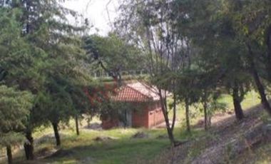 Venta de Rancho en Villa Guerrero, con casa habitación.