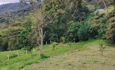Casa lote en venta de 2.030m² en Silvania, Vereda san luis centro.