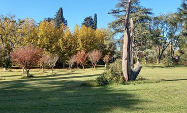 Venta OLIVEROS , IMPORTANTE PROPIEDAD EN LOTE DE 17.761 M2, 3 DORMITORIOS, PILETA, PARRILLERO. 2 GARAGE.