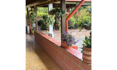 Venta finca de recreo en La Amalia, Venecia, Antioquia