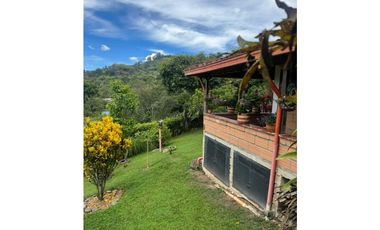 Venta finca de recreo en La Amalia, Venecia, Antioquia