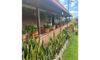 Venta finca de recreo en La Amalia, Venecia, Antioquia