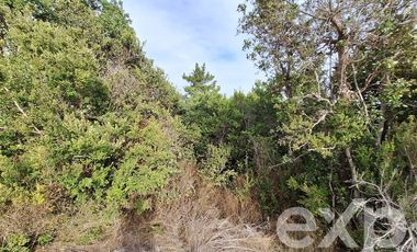 Casa en Venta en Vende Casa 4d 2b 78m2 Pichilemu