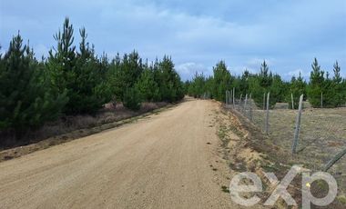 Casa en Venta en Vende Casa 4d 2b 78m2 Pichilemu