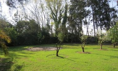 Casa en Arriendo en Los Damascos N° 9, Condominio El Trebol, Calera de Tango