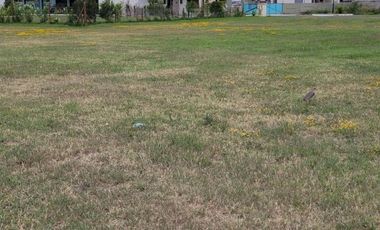 Lote venta La Alameda Canning