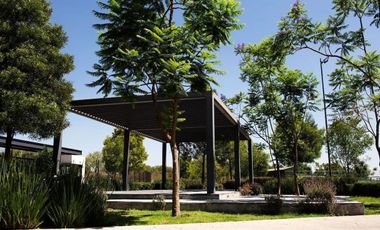 DEPARTAMENTO EN RENTA EN COSMOPOL