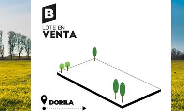 Terreno en  Dorila
