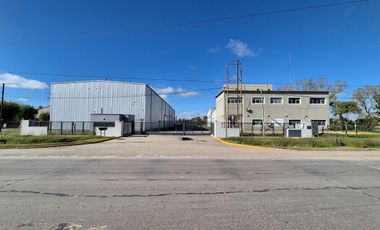 Depósito en alquiler sobre Av 44 en La Plata