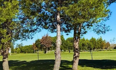 Terreno en  urbanizacion Trisquelia