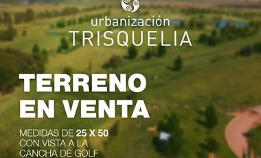 Terreno barrio cerrado Trisquelia