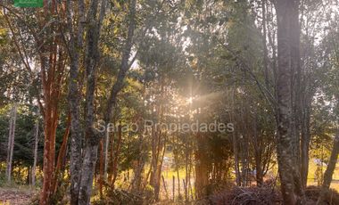 PARCELA 14000 MTS 2 SECTOR RIO BLANCO FRESIA