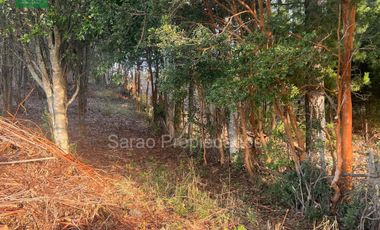 PARCELA 14000 MTS 2 SECTOR RIO BLANCO FRESIA