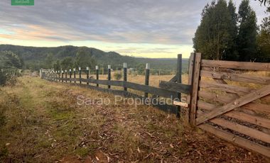 PARCELA 14000 MTS 2 SECTOR RIO BLANCO FRESIA
