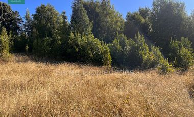 PARCELA 14000 MTS 2 SECTOR RIO BLANCO FRESIA