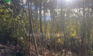 PARCELA 14000 MTS 2 SECTOR RIO BLANCO FRESIA
